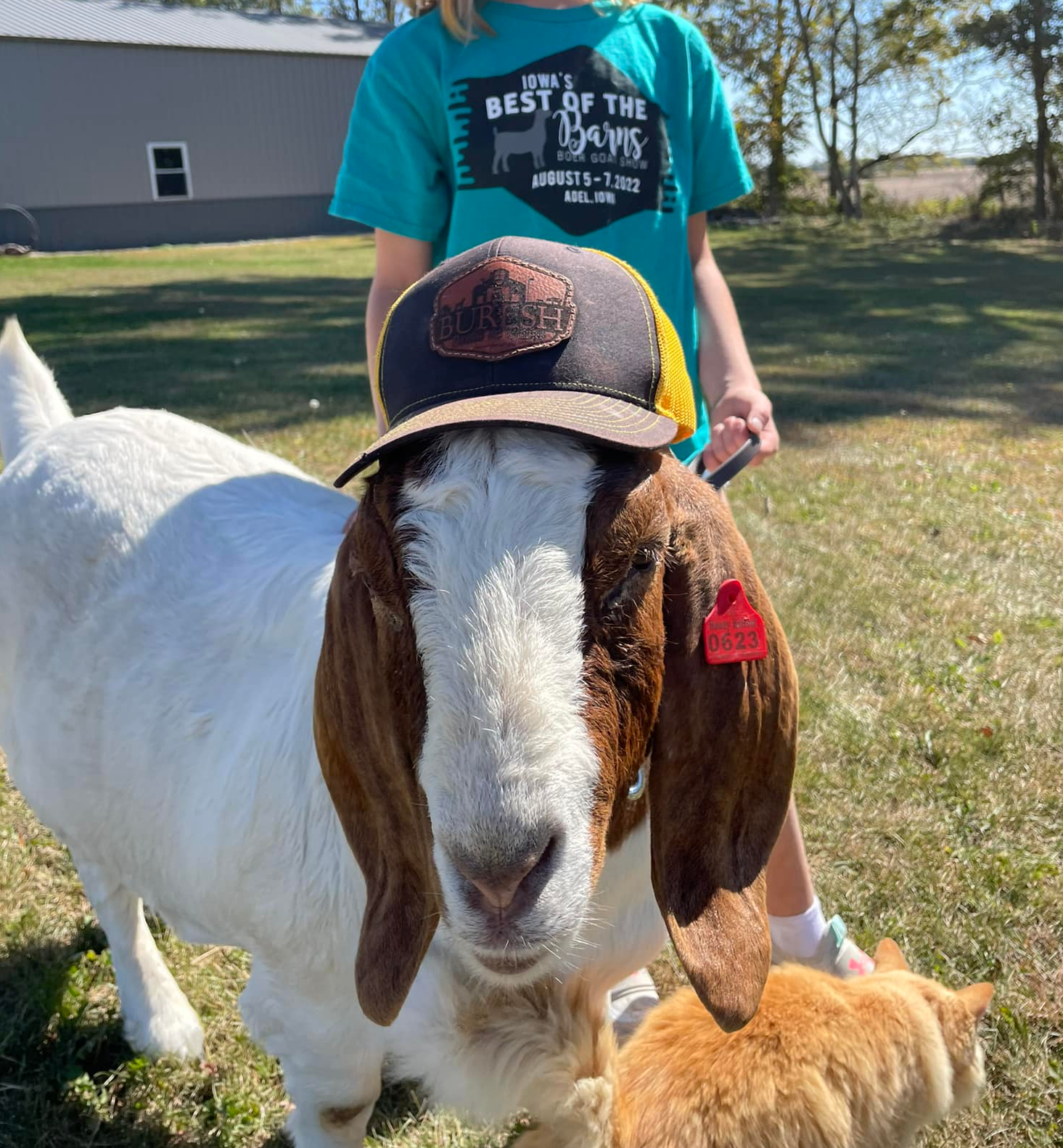 Farm photo