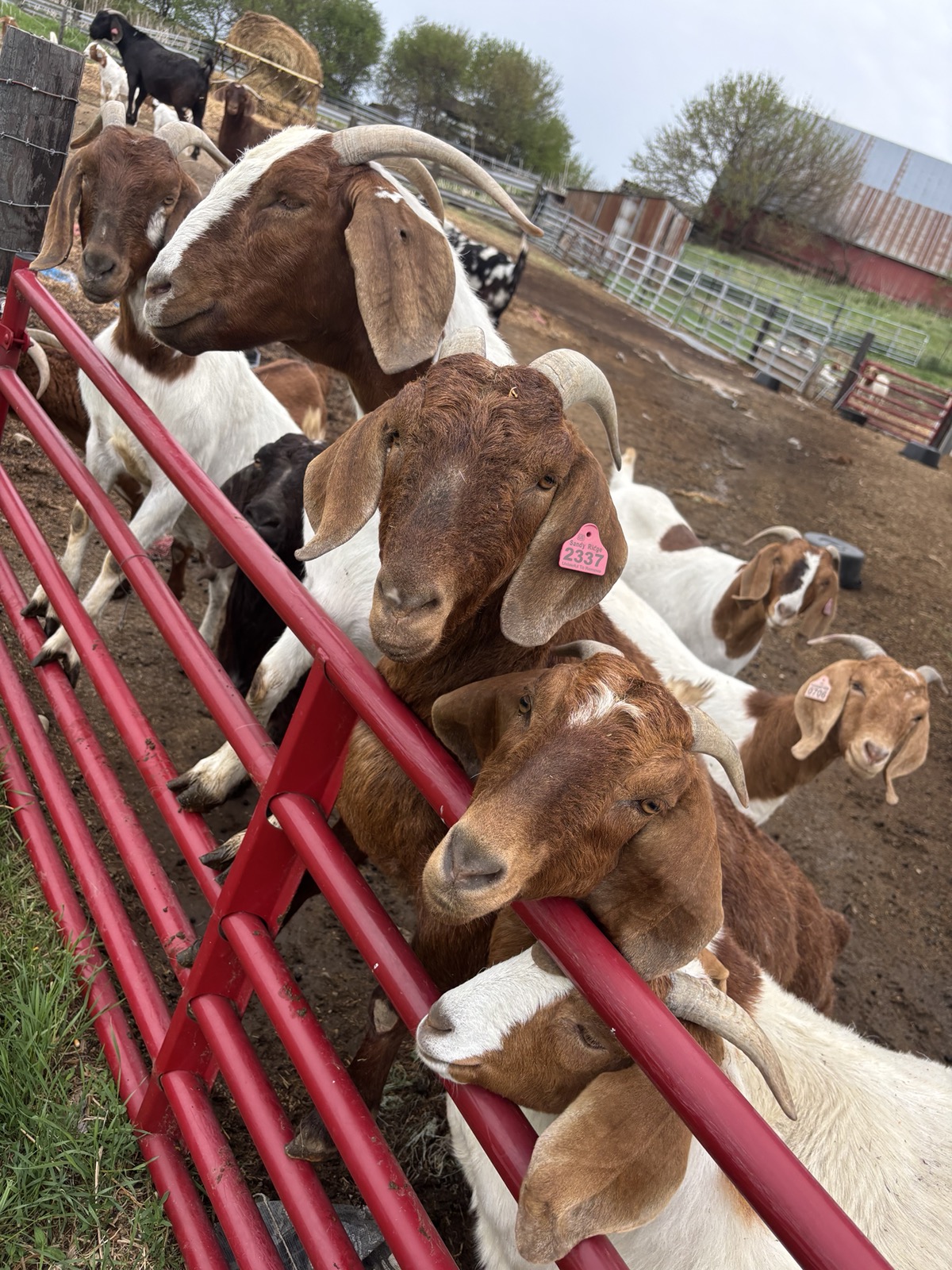 Farm photo
